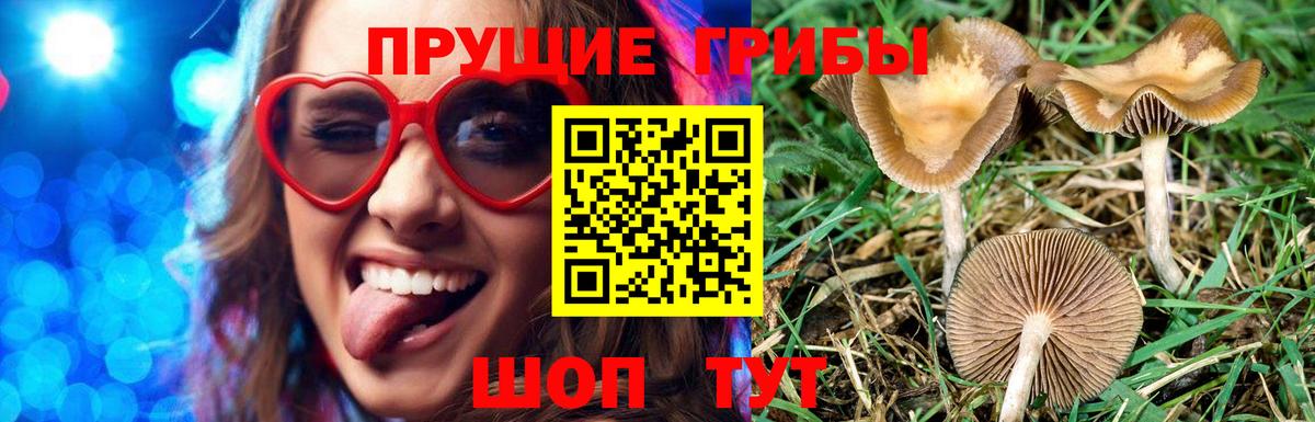 Галлюциногенные грибы мицелий Нягань